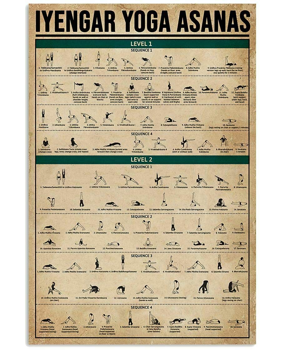 TNND Iyengar Yoga Asanas 2 Levels Poster Wall Decor Gift For Yoga Lover Art Wall Decor Metal Sign Poster 8x12 inches