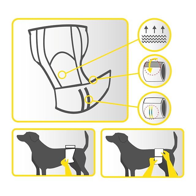 Foto 3 de 4 de Pañal para perros macho, de la marca Croci, 12 unidades