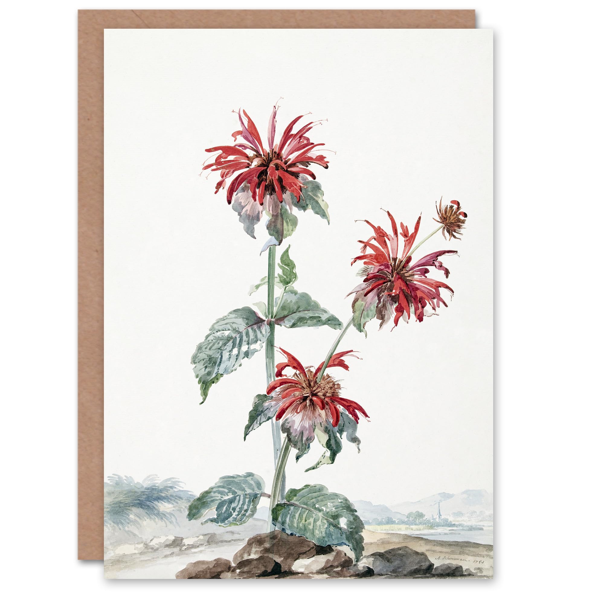 Artery8 Aert Schouman Art Card Red Bergamot Flowers in a Landscape