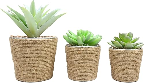 Ebros Gift Juego de 3 plantas suculentas botánicas artificiales realistas de tamaños escalonados en macetas envueltas en yute, plantas sintéticas,