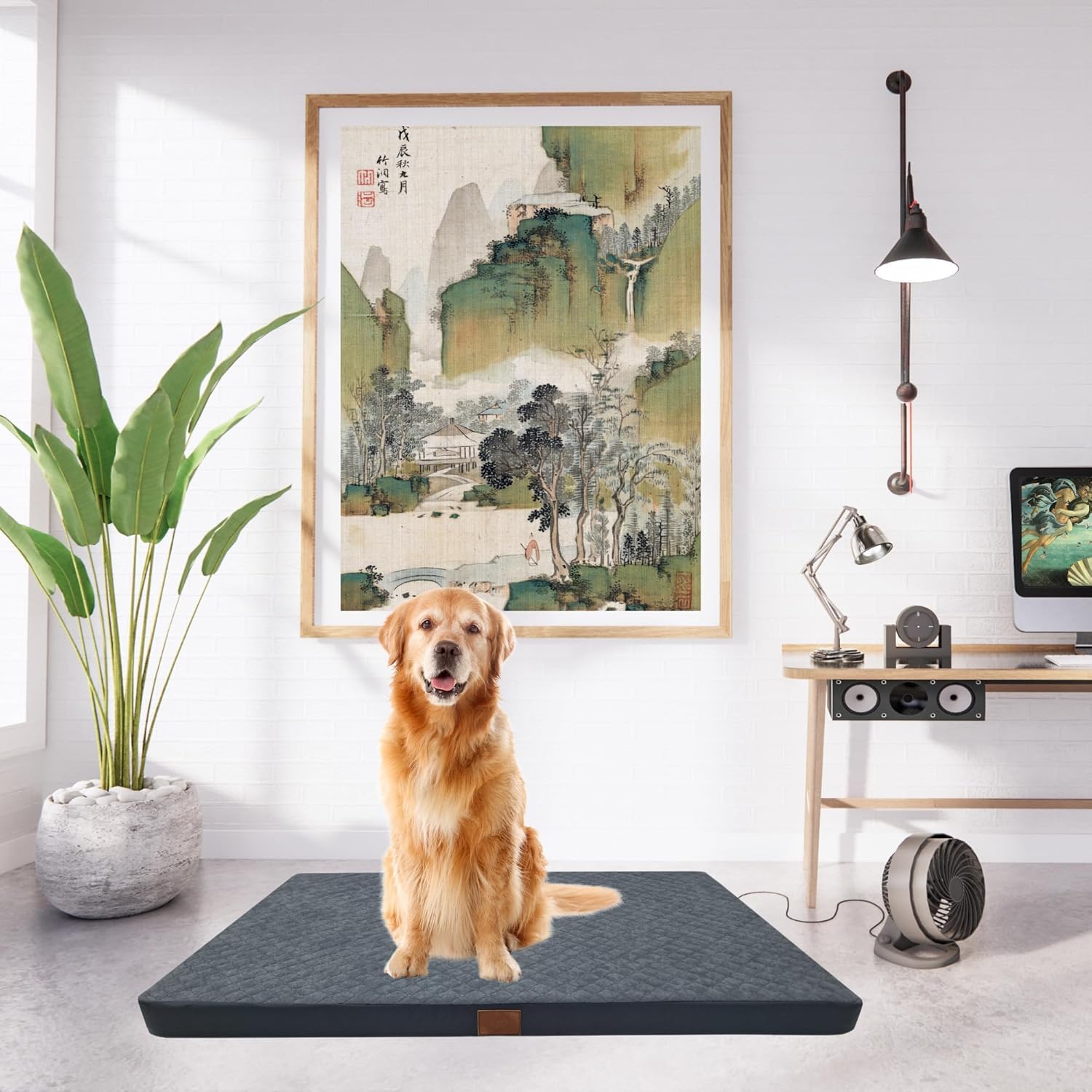 Tyrol Master T80 Comfort Yellowstone, Matelas pour Chien de Sol, Accessoire Usage Intérieur, Lavable en Machine à 30°, Double Face & Déhoussable, pour Moyens & Grands Chiens, 80x60x7 cm Tyrol Master T80 Comfort Yellowstone, Matelas pour Chien de Sol, Accessoire Usage Intérieur, Lavable en Machine à 30°, Double Face & Déhoussable, pour Moyens & Grands Chiens, 80x60x7 cm
