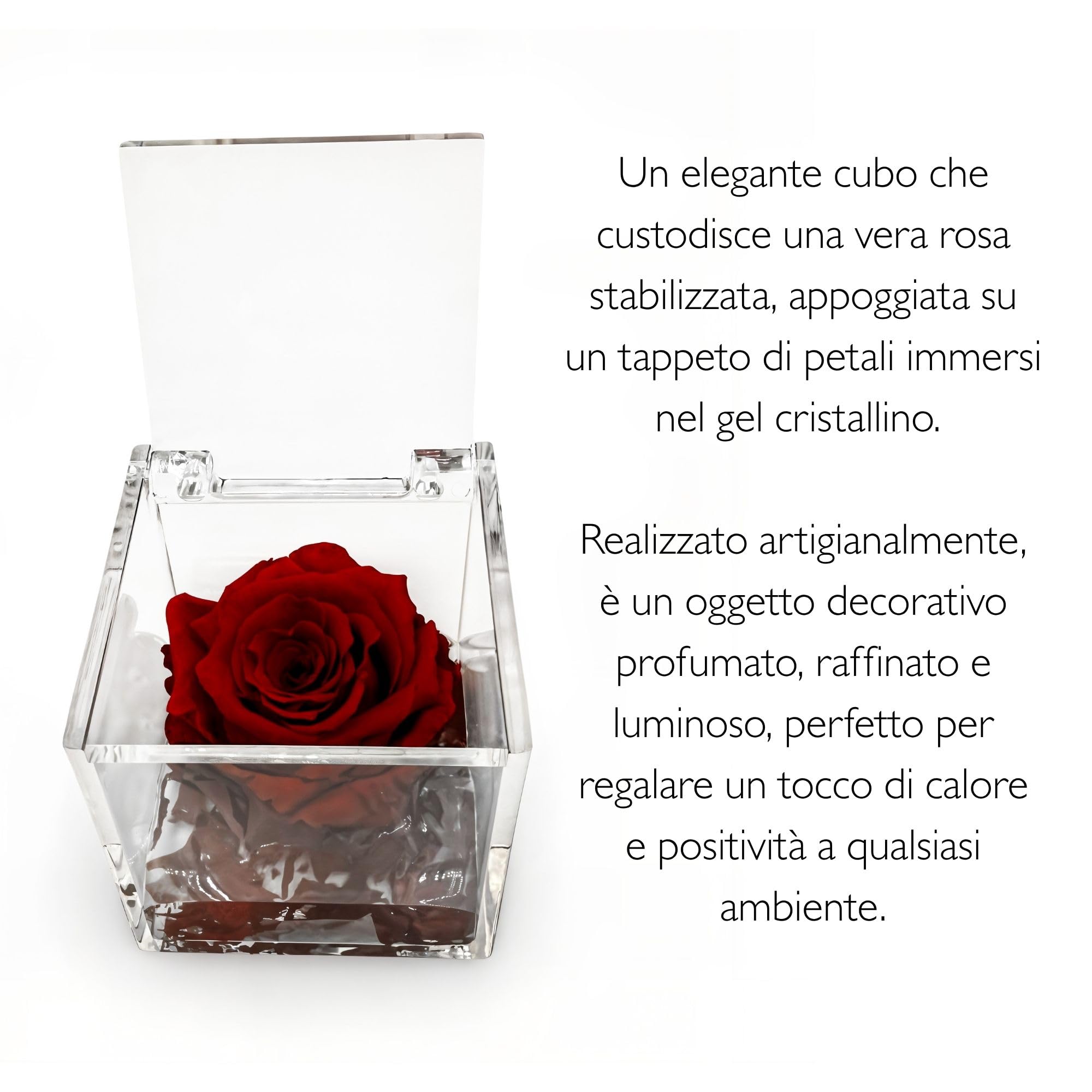 Rosa Stabilizzata Profumata con Petali in gel in Cubo Trasparente - Confezione Regalo Elegante - Durata 5-7 anni - Made in Italy - 5x5 cm (Rosso)