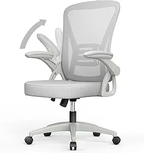 naspaluro Office Chair with Lift Up Armrest, Breathable Mesh Office Chair with Lumbar Support, Reclining Backrest and Height, 360° Swivel Caster, Grey