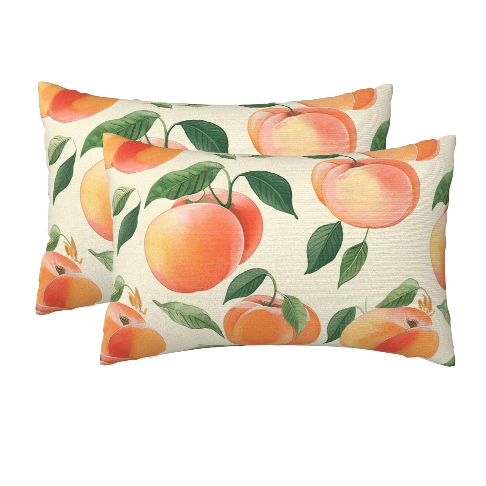 2 Pack Queen Size Pillow Cases for Hair and Skin Soft Breathable Pillow Case Covers with Hidden Zipper Peach Pillowcase 20x30 Inches Pillow Cover for Sleeping Gift