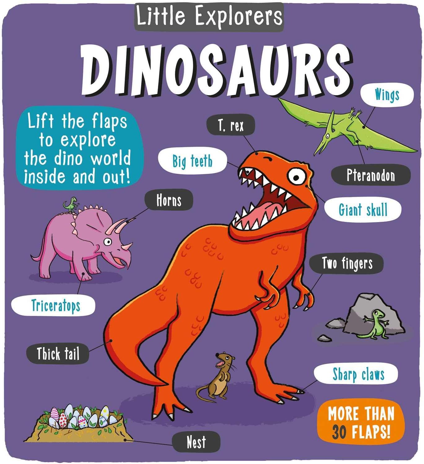 Little Explorers: Dinosaurs