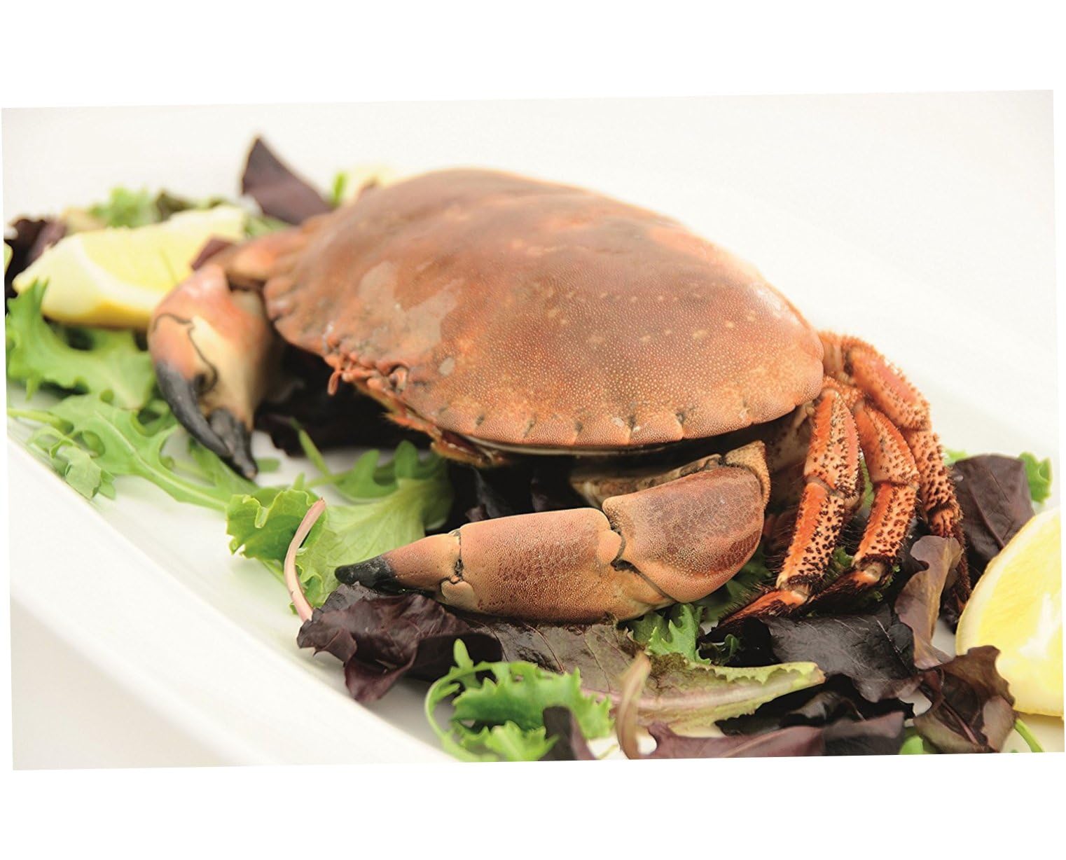 Ciieeo Juego De Herramientas para Mariscos 12 Piezas Cascanueces y Tenedores De Acero Inoxidable Abridor De Langostas Resistentes para Cocina y Mariscos Casa