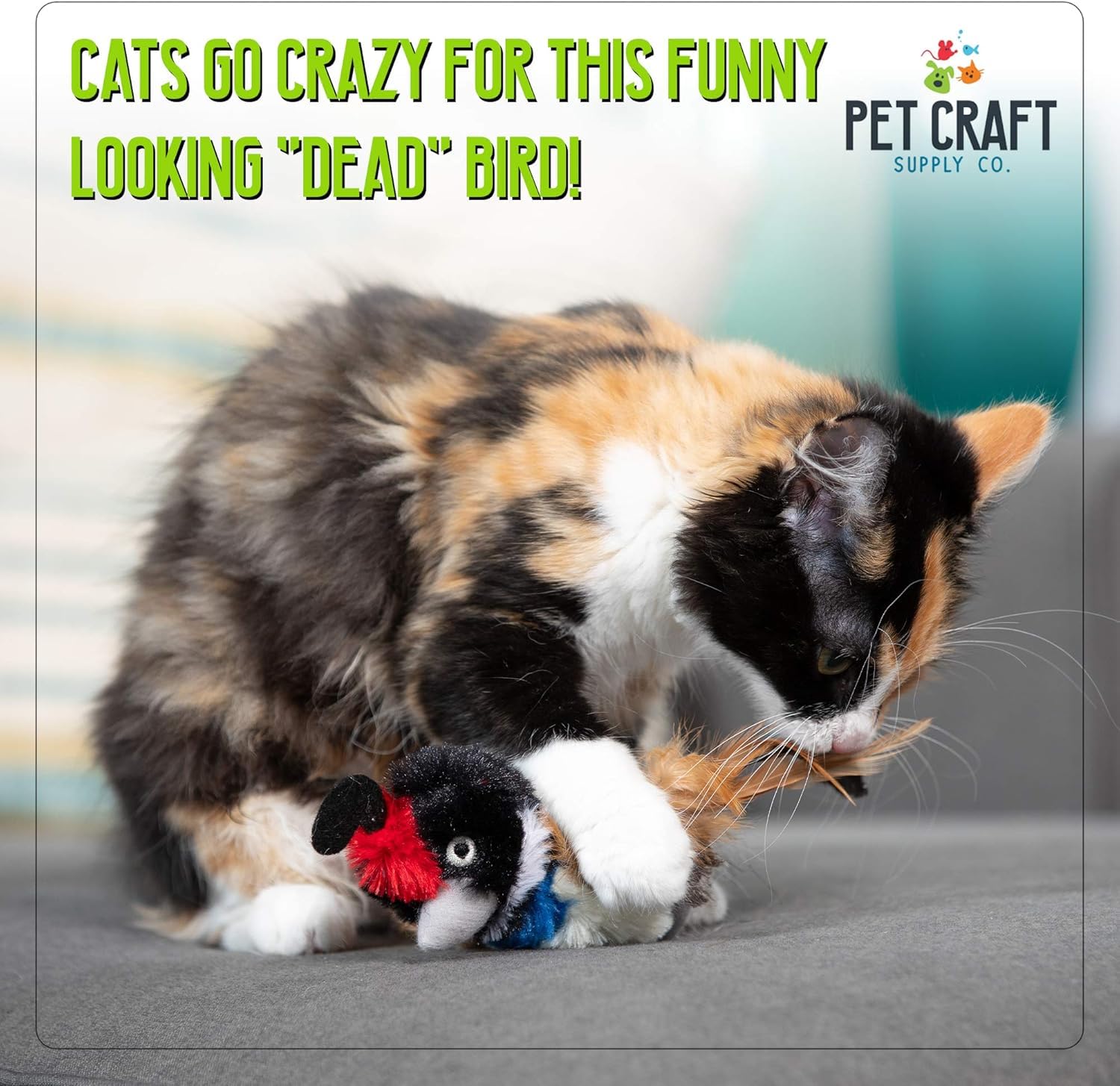 Pet Craft Supply Co. Batty Bird & Quirky Quirky Funny Cuddling Chasing Irresistible Estimulante Suave Peluche Alivio del Aburrimiento Interactivo Relleno de Catnip Juguete para Gato con Plumas