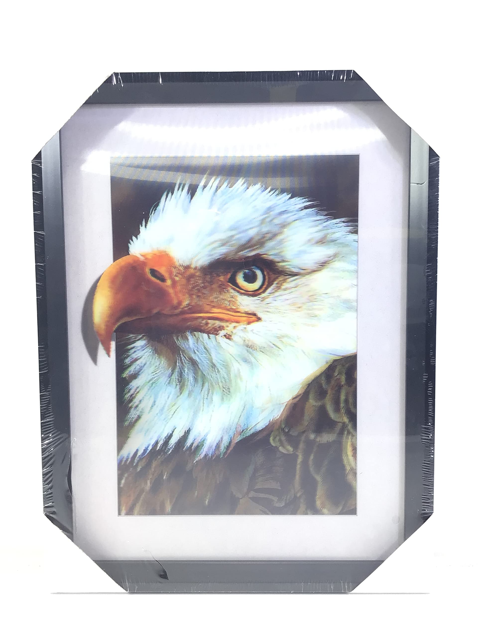 American Bald Eagle 3D Lenticular Picture Plastic Frame 12-3/4 x 16-3/4 inches Wall Decoration