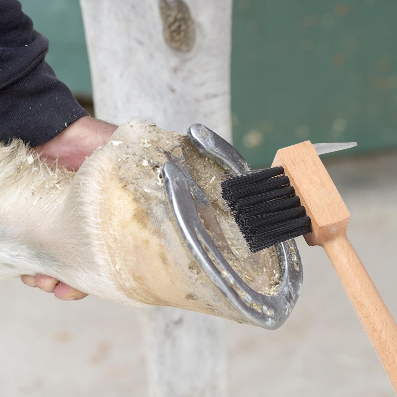 5 Piezas Cepillo Limpia Cascos de Caballo Gancho de Acero Cepillo de Cerdas Densas Mango de Madera Antideslizante Herramienta 2 en 1 Adecuada para EST