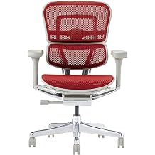 Ergohuman 2 445423 Office Chair with No Headrests, Elevating Type, Memory Locking Function, Elastomeric Mesh, PU Caster Pro, Low Type, Frame Gray, Mesh Red, Seki Furniture