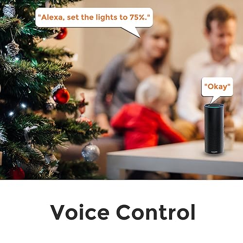 Miniatura 6 de El conector WiFi para exteriores funciona con Alexa, Google Home