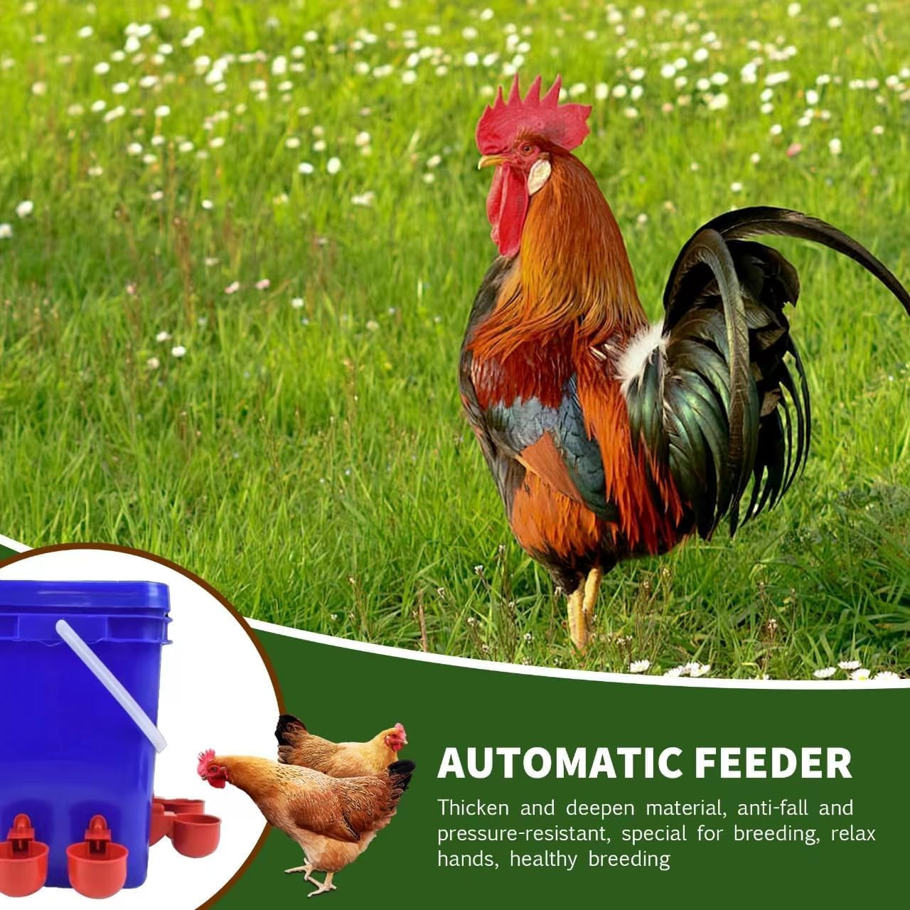 6 bebederos para Pollos, dispensador de Agua para Pollos, Bebedero automático para Aves de Corral, Bebedero para gallinas, Accesorios para gallinas, Juego de dispensador de Agua con Taladro
