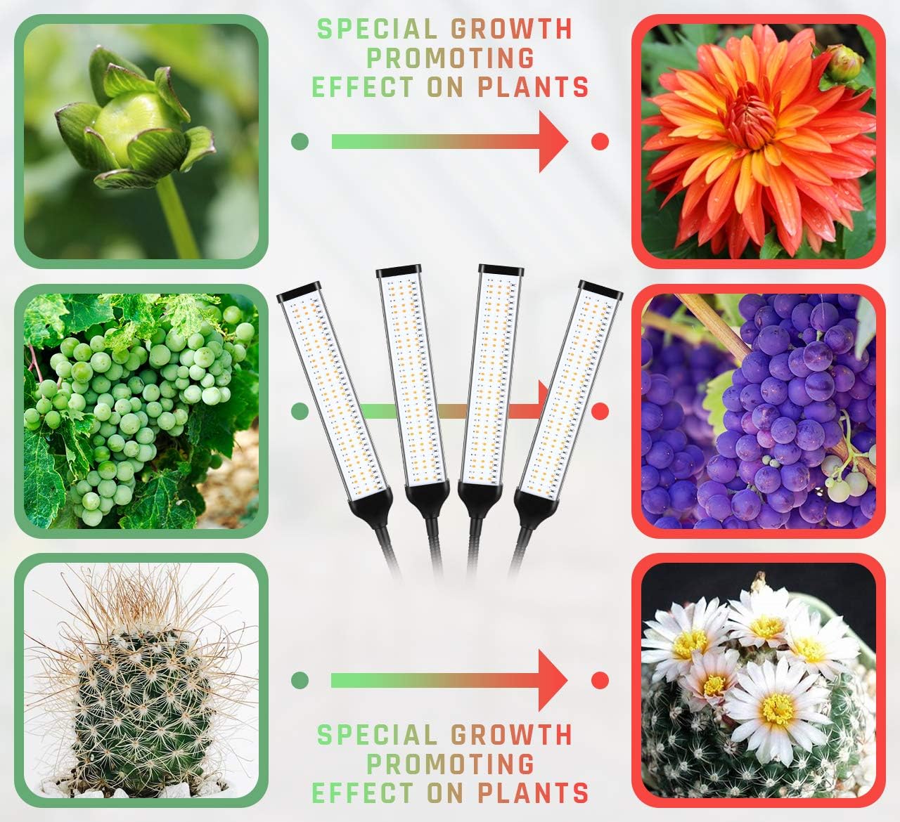 Grow Light,200W 420LED Four Head Plant Light for Indoor Plants,Full Spectrum Grow Lamp with 4/8/12H Timer,4 Switch Modes,10 Dimmable Levels,Adjustable Gooseneck for Succulents,Vegetables and Flower