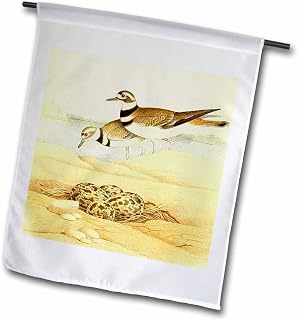 18 x 27 inch Garden Flag - Vintage Bird Art Killdeer Birds with nest eggs illustration print Bird Designs