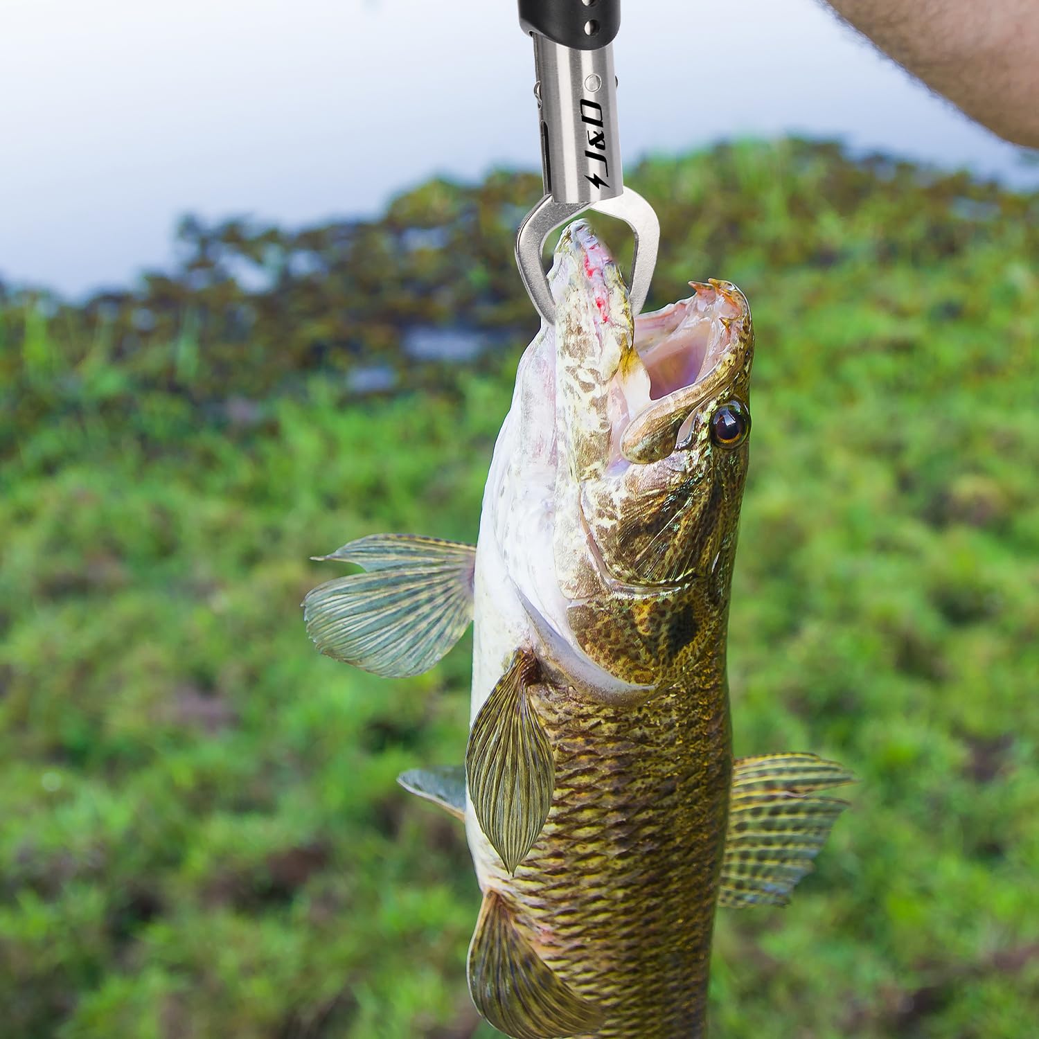 J&D Pesca Pinze e Pesce Labbra Gripper Imposta, Multifunzionale Inossidabile Acciaio Pesca Pinza Attrezzi Gancio Rimozione Strumento con Sicurezza Arrotolato con Fodera e Cordino