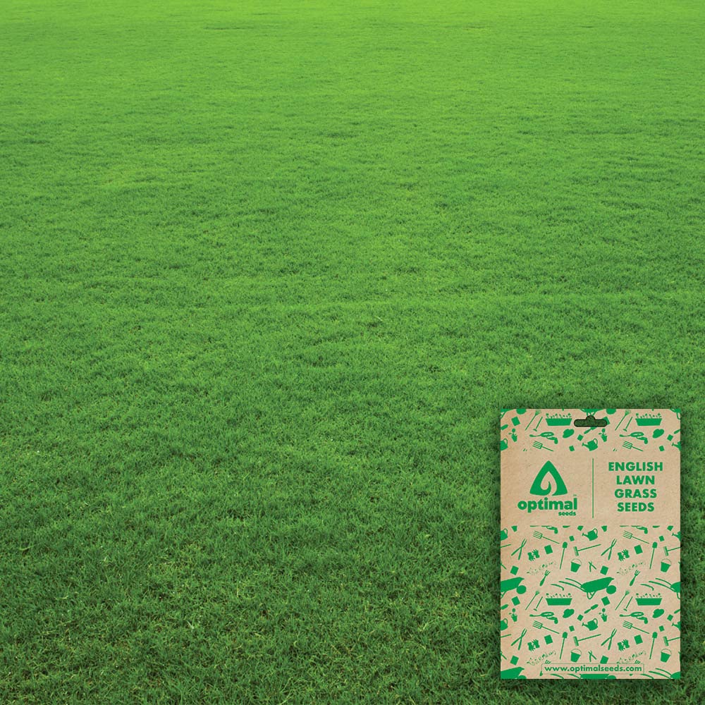 Optimal Seeds English Lawn Grass Seeds (B0B5ZMSWDL) Amazon Price History, Amazon Price Tracker