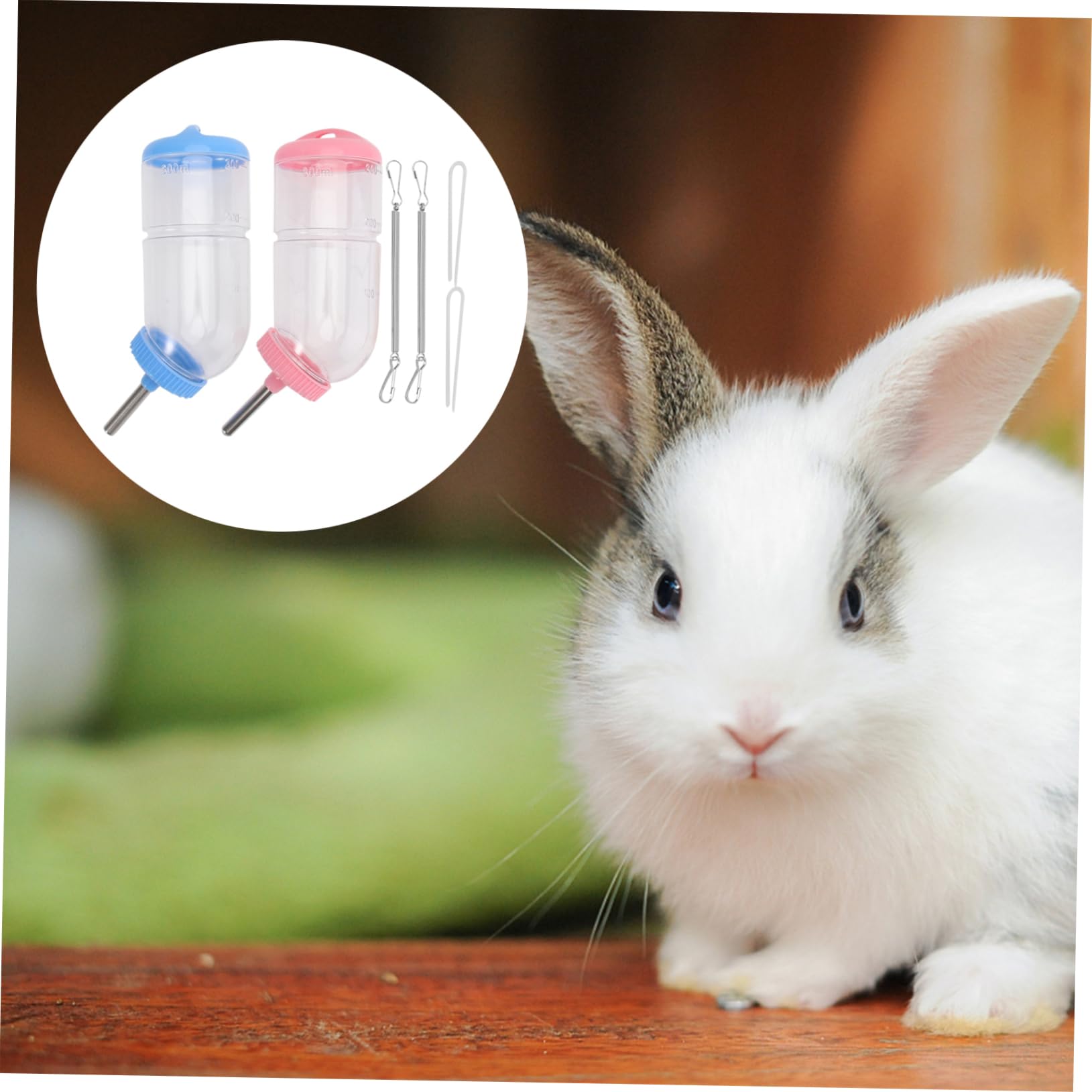 Housoutil 6stücke Wasserspender Für Haustiere Transparente Trinkflasche Mit Kugelventil Geeignet Für Kaninchen Meerschweinchen Und Andere Kleintiere Zufällige Farben