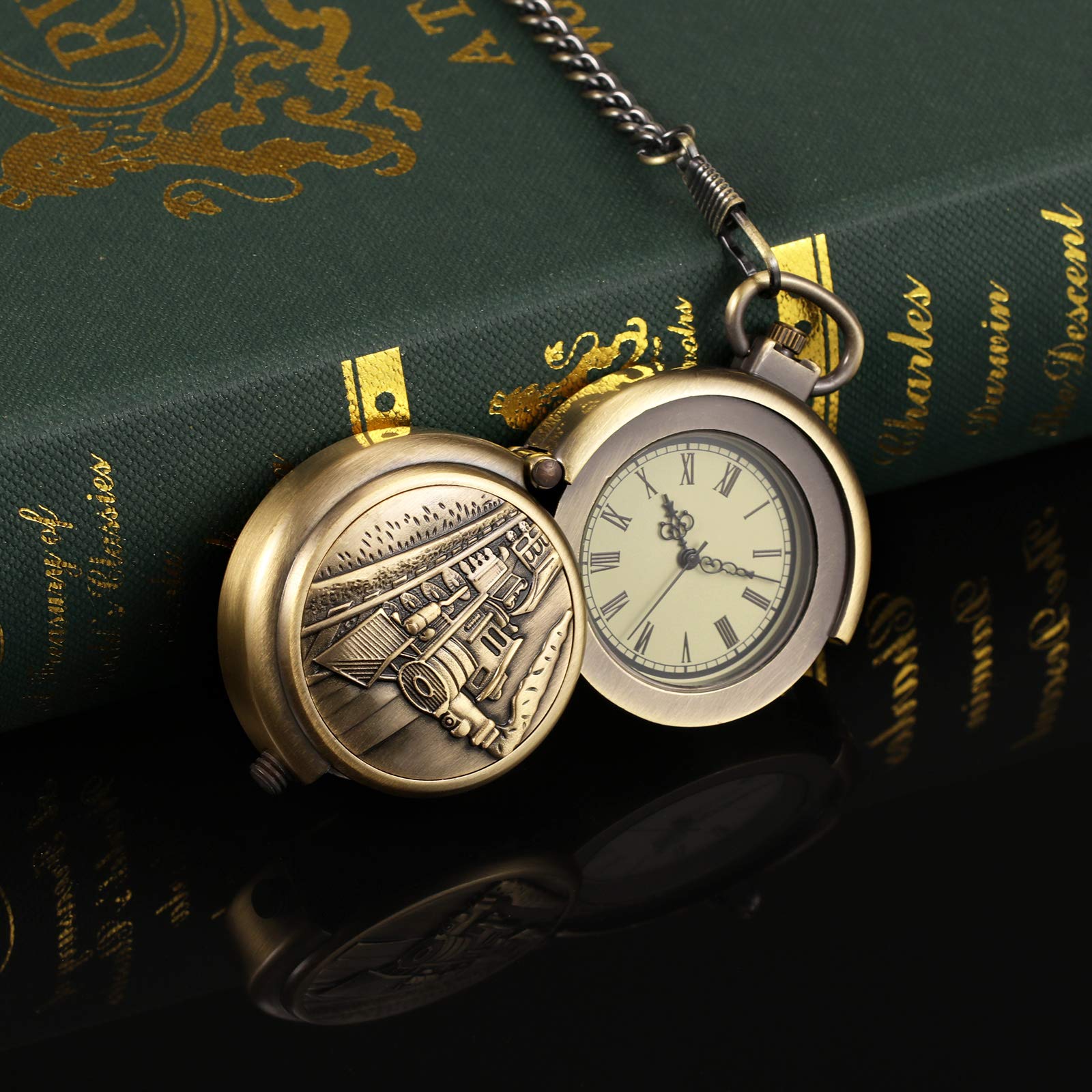 TREEWETO Reloj de bolsillo unisex con cadena, analógico, cuerda manual, forma especial, grande, hueco, bronce