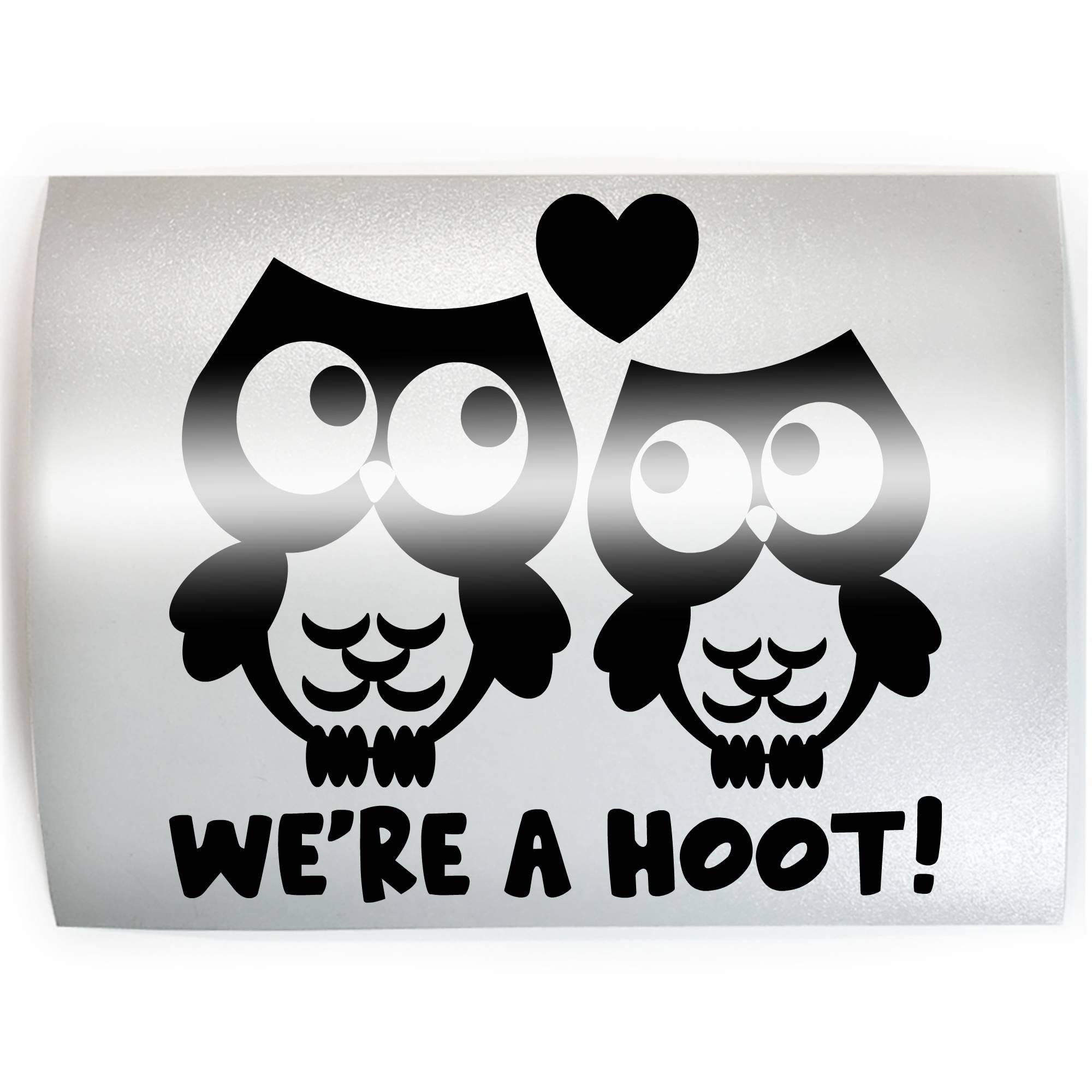 WE'RE A HOOT Owls - PICK COLOR & SIZE - Owl Wild Bird Forest Vinyl Decal Sticker B