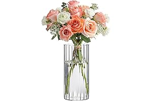 ComSaf Glass Cylinder Vases: Bud Vases for Flowers, 8 Inch Tall Ribbed...