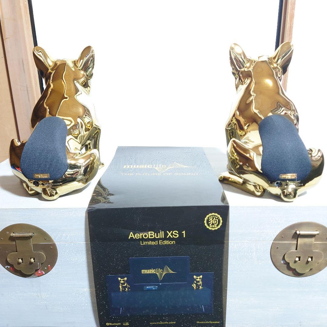 Amazon.co.jp: Aerobull xs1 GOLD 二台セット スピーカー 199台限定 
