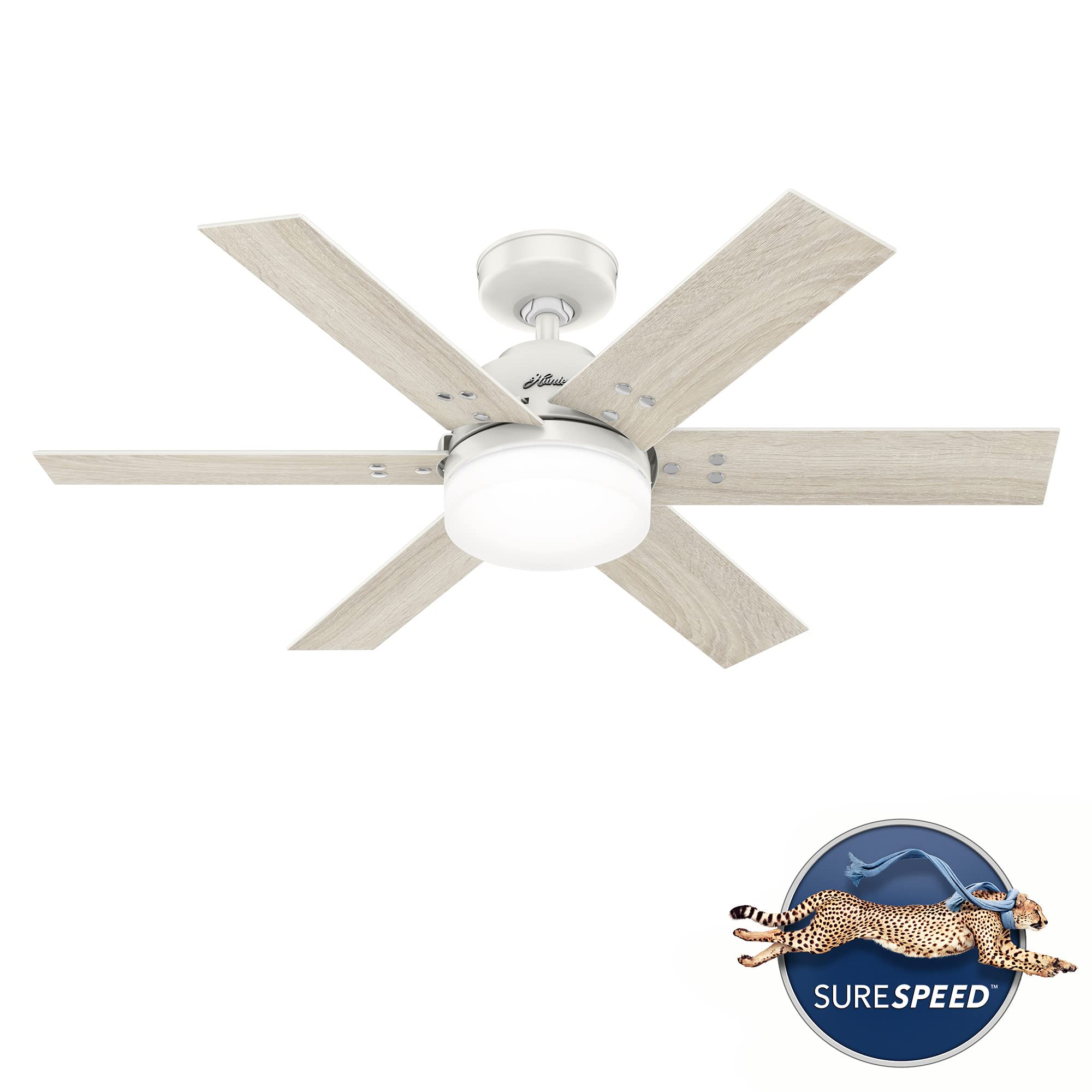 Hunter Pacer, Indoor, Ceiling Fan, Standard Mount, 44 inch, Fresh