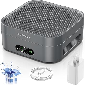 Air Purifiers for Home 600 Sq.Ft, TDBYWAE H13 True HEPA Air Purifier with USB Cable for Pets Dust Dander Pollen Odor Smoke, Small Portable Air Purifier for Bedroom Office Desktop Car RV Grey
