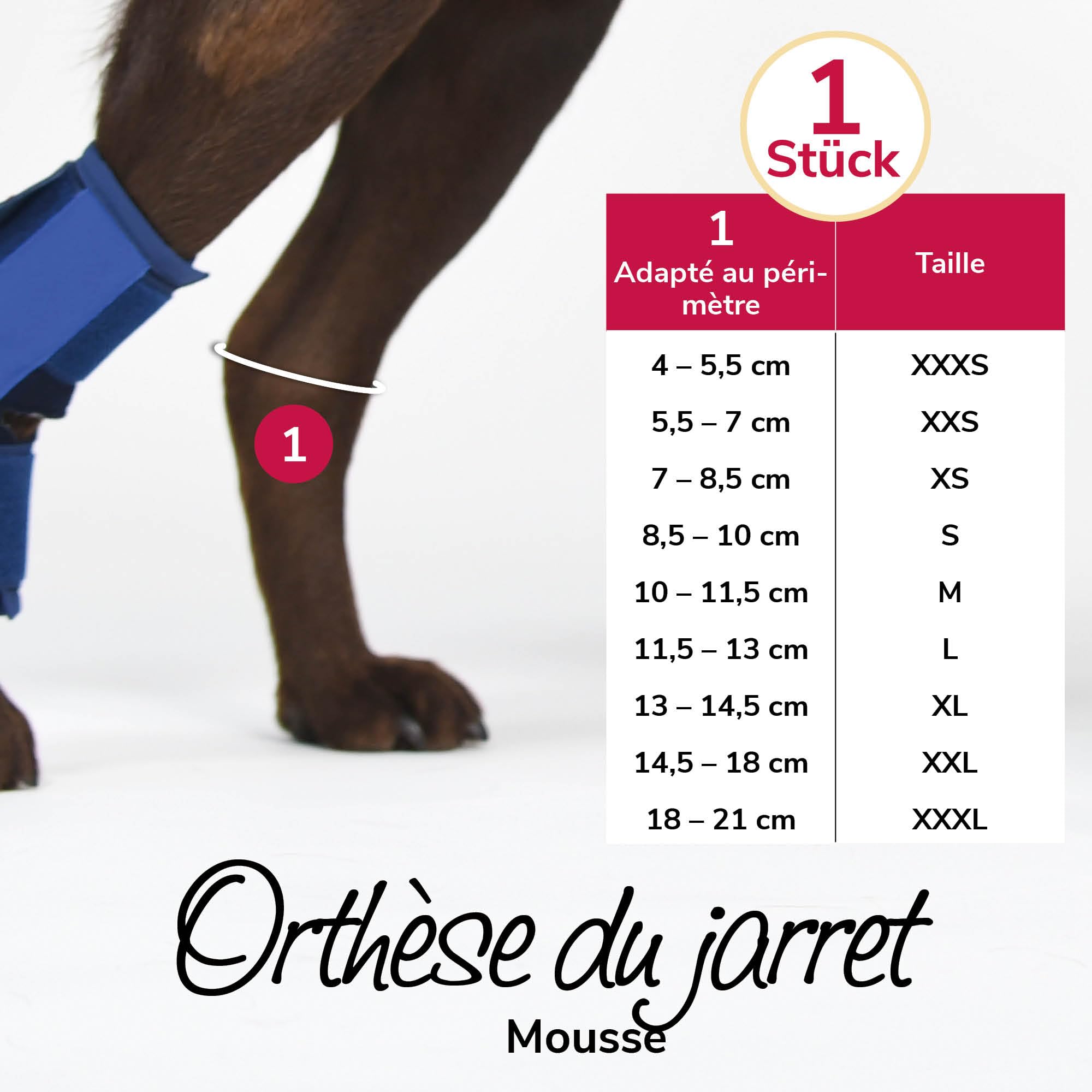 Bandage de Jarret en Mousse Taille XXXL pour Chiens & Chats – Respirant avec Attelles pour Le Soutien du Jarret en Cas d'Arthrose & d'Instabilité