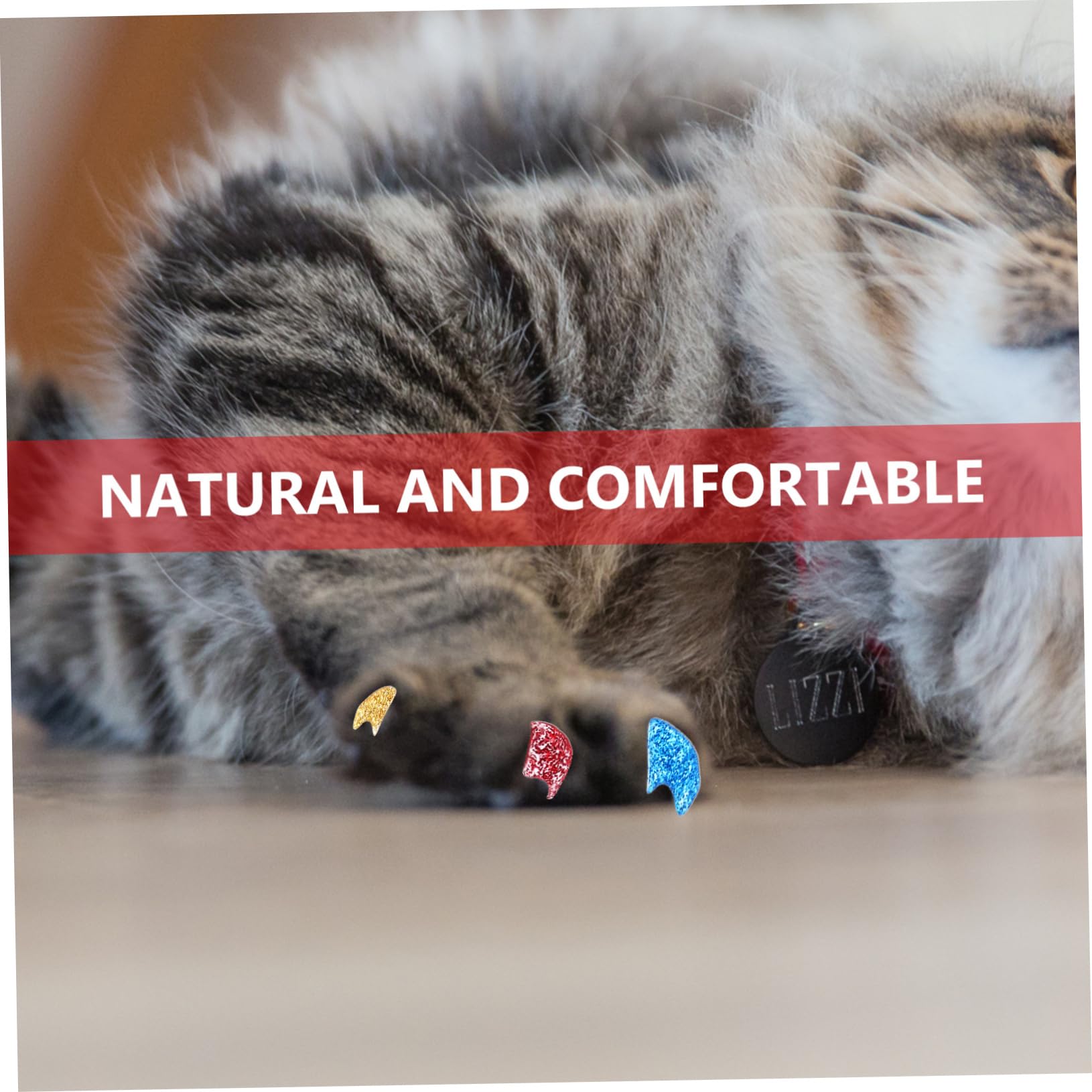 Sosoport 320 Pièces Ensemble d'ongles pour Animaux de Compagnie Couvre-Griffes de Chat Pattes pour Chatons Capsules Ongles Couverture de Griffe pour Animaux de Compagnie Gel de silice
