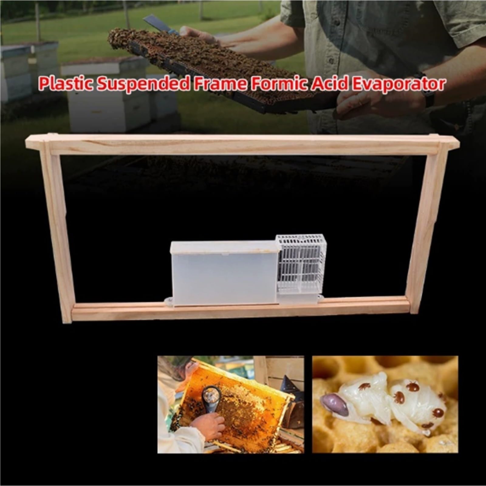 Forniture per l'apicoltura 10 Pezzi Telaio Sospeso Agente Volatile Scatola A Nido D'Ape Fissa Medicina Delle Api Fumigazione Acaro Strumenti Di Apicoltura Inclusi Attrezzatura per l'apicoltura
