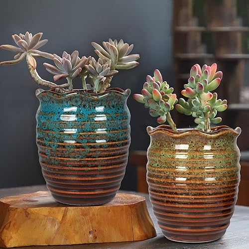 Miniatura 3 de Paquete de 2 macetas de cerámica  Macetas con agujero de drenaje, macetas clásicas de pelo antiguo para plantas de exteriorinterior, flores,