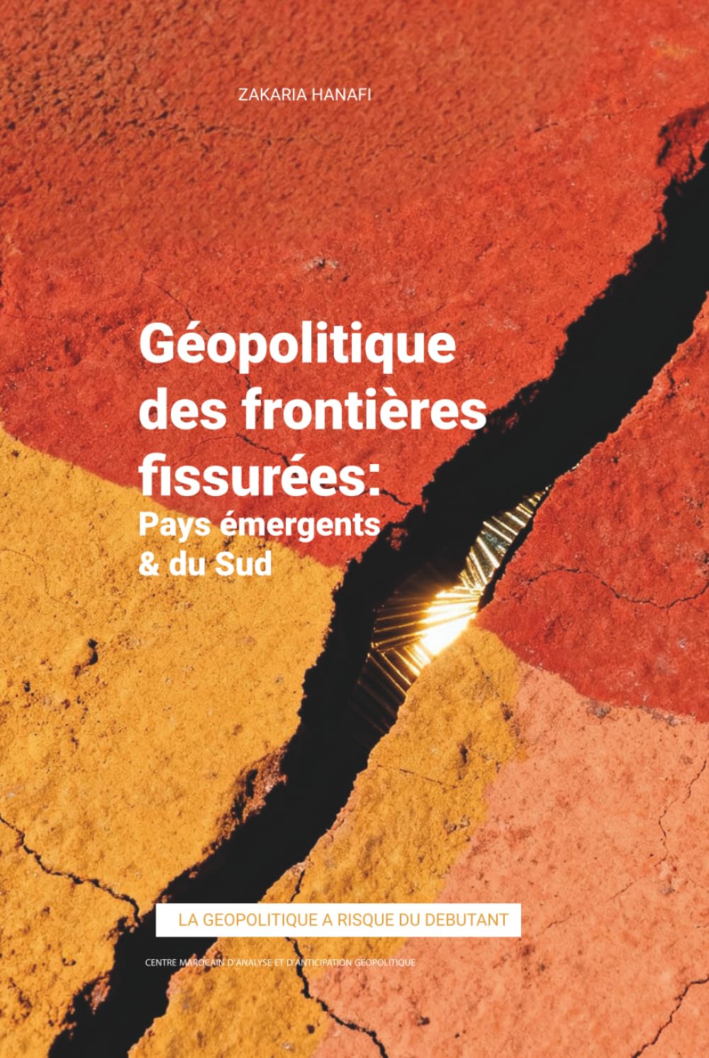 La géopolitique des frontières fissurées: Pays émergents et du Sud: Pays émergents et du Sud (Risky Geopolitics for Beginners)