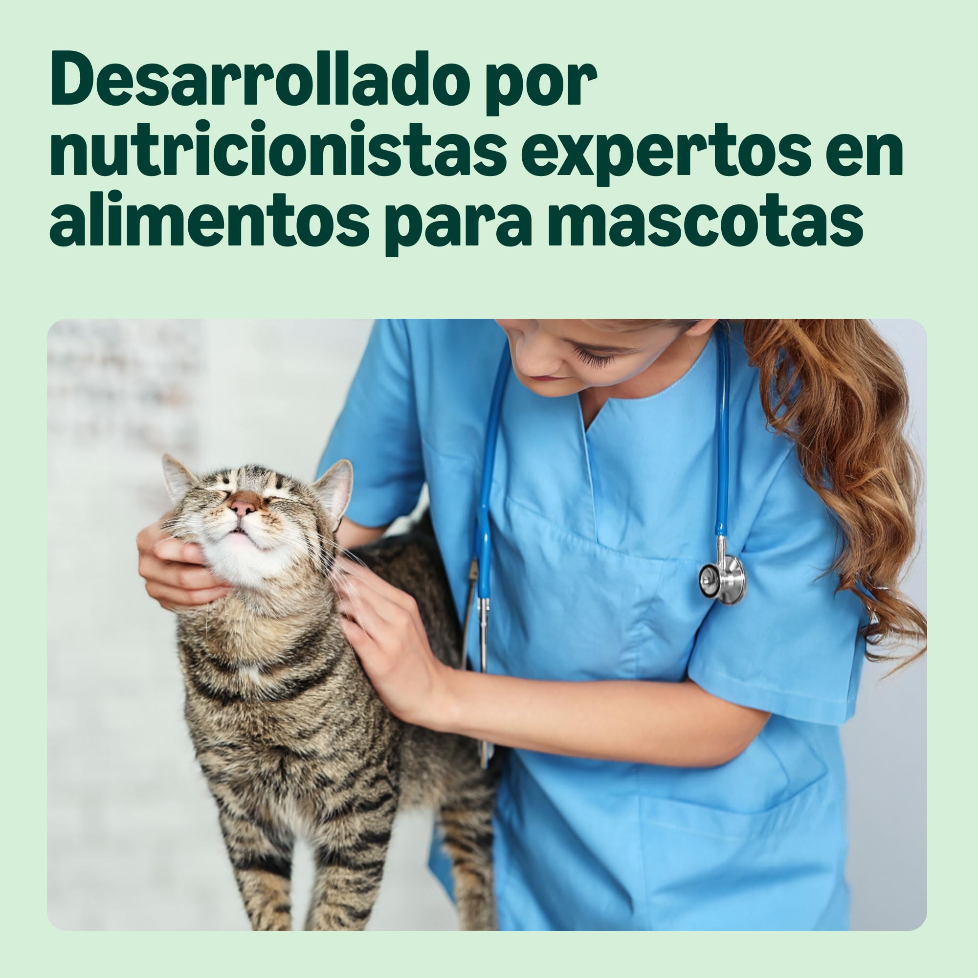 by Amazon Comida húmeda para Gatos Adultos sin Cereales Selección de Carne en Caldo, 4.76 kg (56 Paquetes de 85g) (Antes Lifelong)