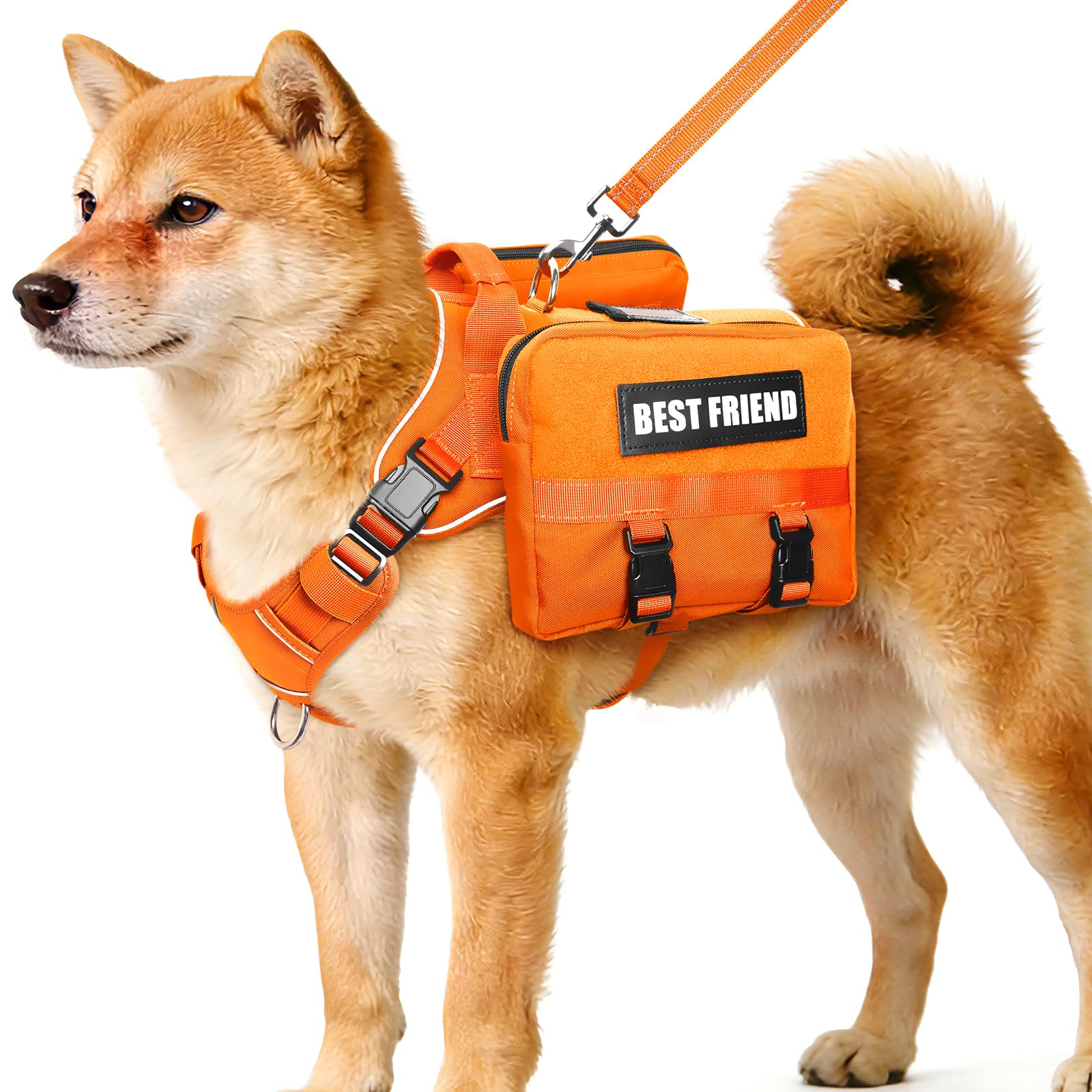 Set di imbracatura e guinzaglio per cani di taglia media, tasche laterali rimovibili, gilet per cani con manico e clip in metallo senza tirare, per escursionismo, allenamento, passeggiate e