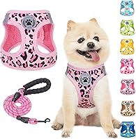 Vista 54 de BEAUTYZOO - Juego de arnés y correa para perros y gatos pequeños, extrapequeños y medianos, arnés tipo chaleco fácil de poner, antiasfixia