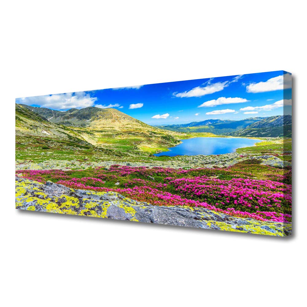 Toile imprimes tableau decoration deco mural moderne design 125x50cm nature