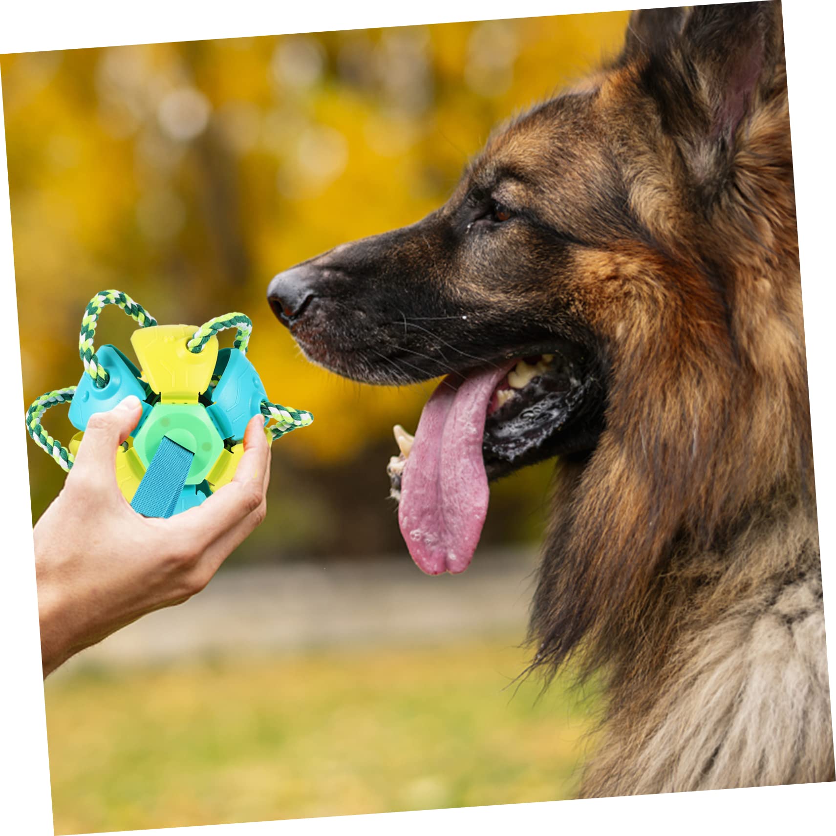 Hohopeti Hundekauspielzeug Interaktives Haustierspielzeug Rebounding Fly Ball Spielzeug für Kleine Hunde und Welpen aus Kunststoff Gelb Blau