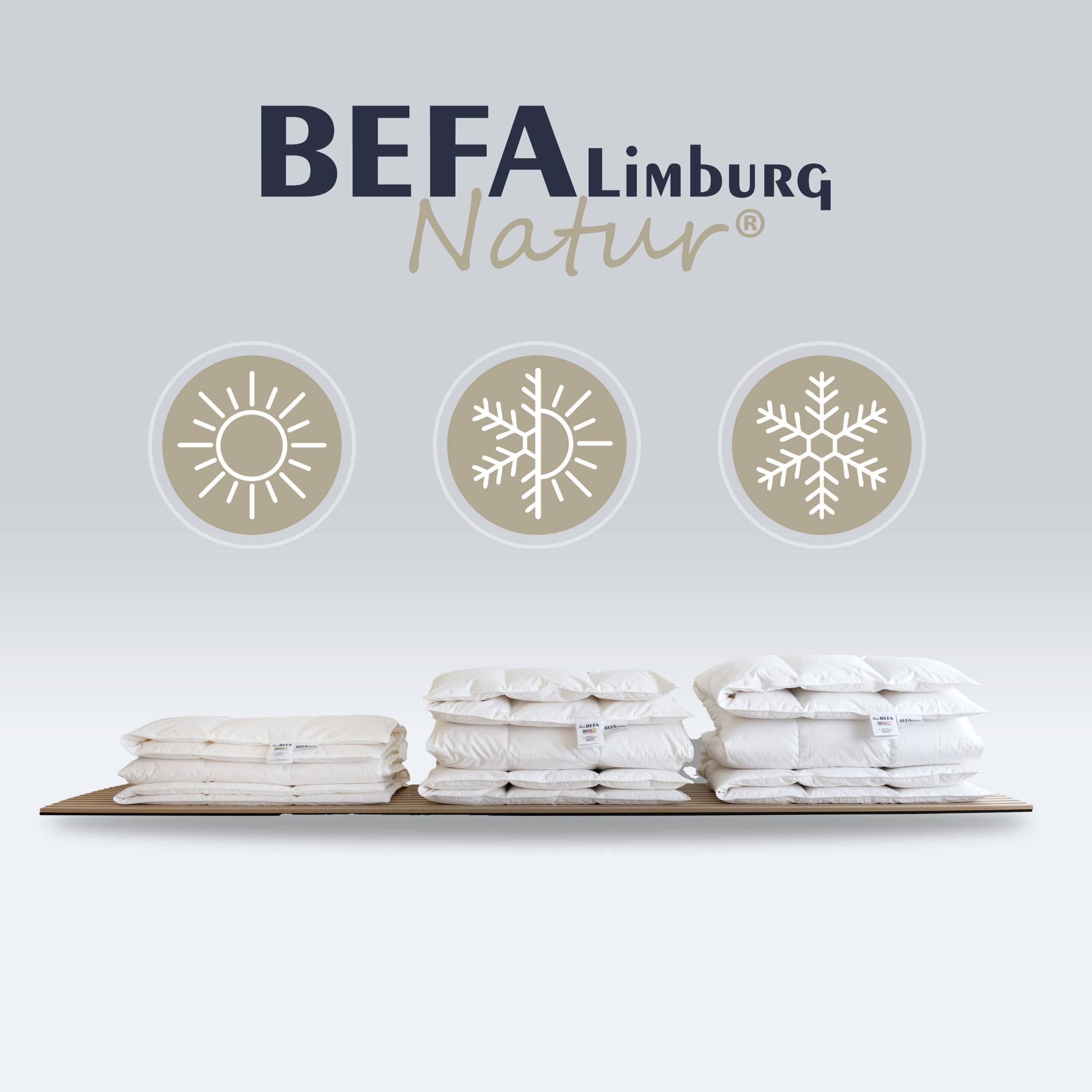 BEFA NATUR Daunendecke Sommer 135x200 cm | 60% Daunen & 40% Federn | 250g Füllgewicht | Allergiker geeignet (NOMITE) | Tierwohl Zertifiziert (DOWNPASS) | Oeko-TEX Klasse 1 | Made in Germany