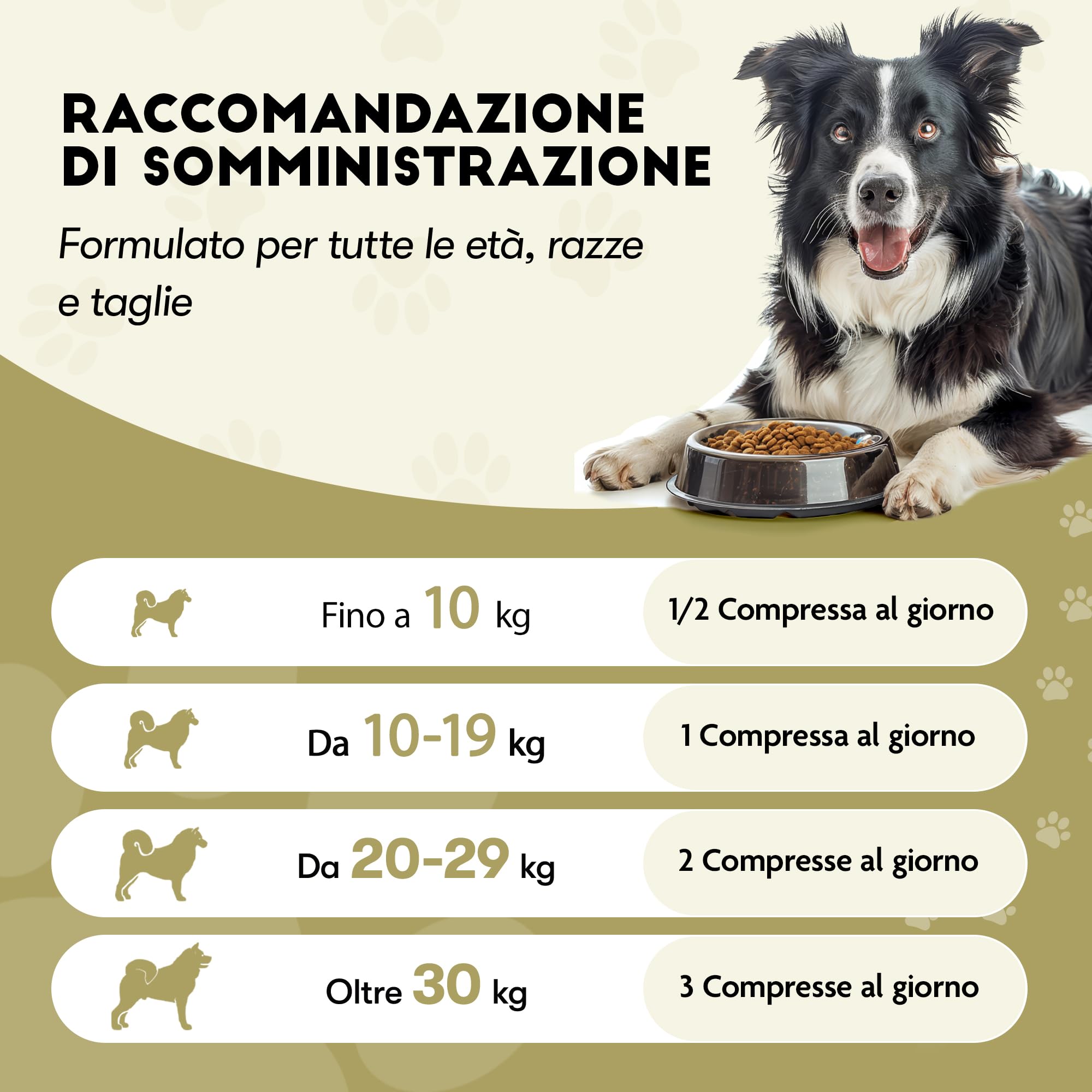 FloraPet Probiotico per cani, Fermenti lattici cane, combatte diarrea cane, Salute intestino, Probiotico digestivo, prurito cane con Prebiotici naturali 60 compresse Made In Italy