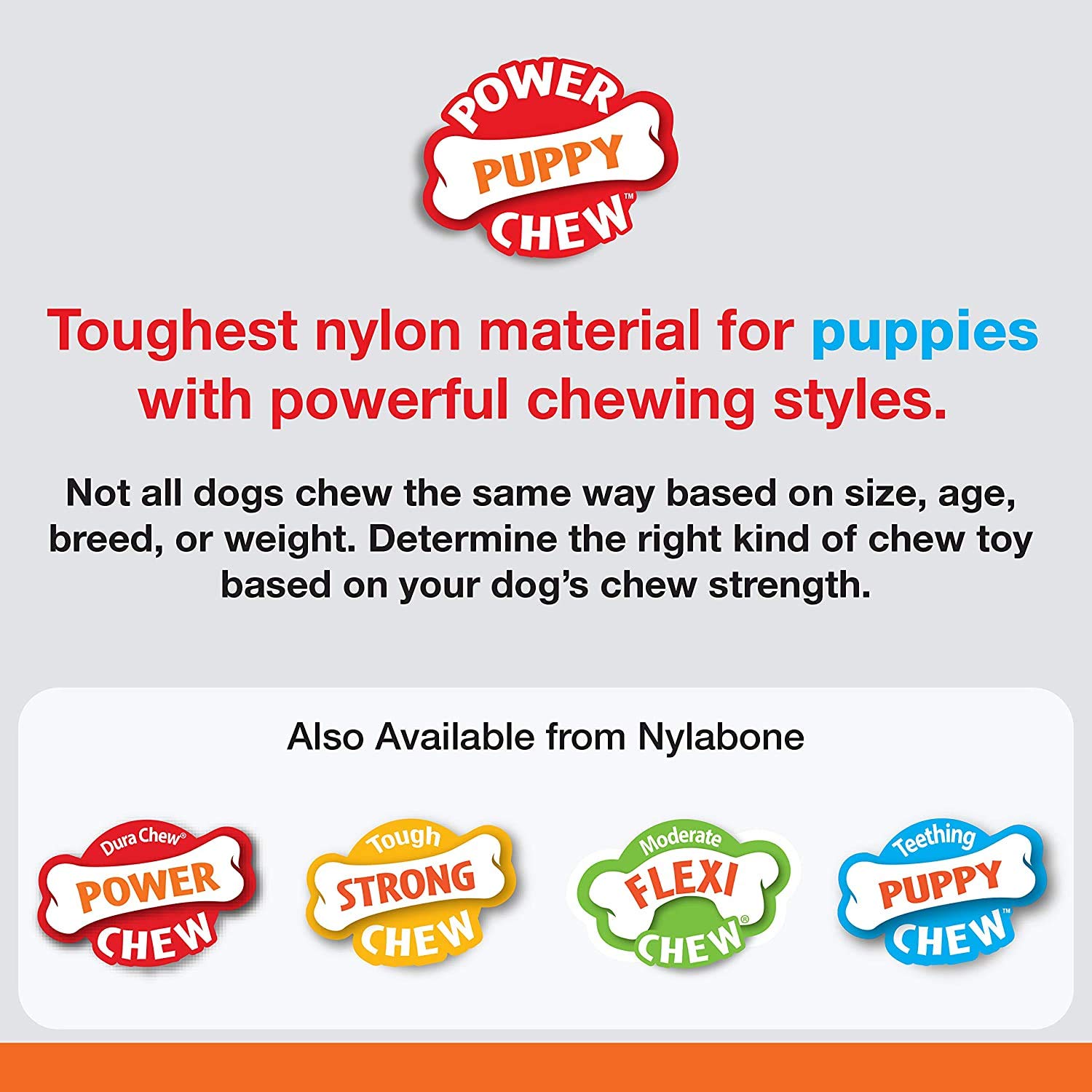 Nylabone Puppy Power Kauspielzeug für Welpen, Nylon, groß, Rindbrühe und Gemüse, 3 Stück