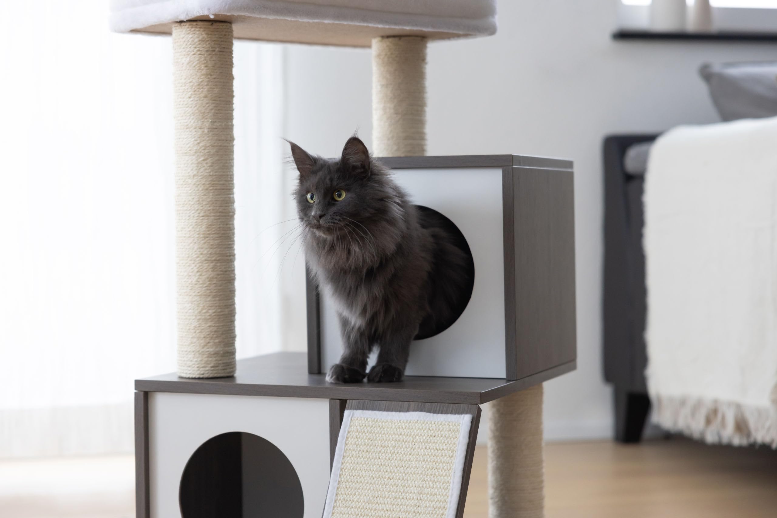 anicura katzentoilette LucyBalu Katzenklo