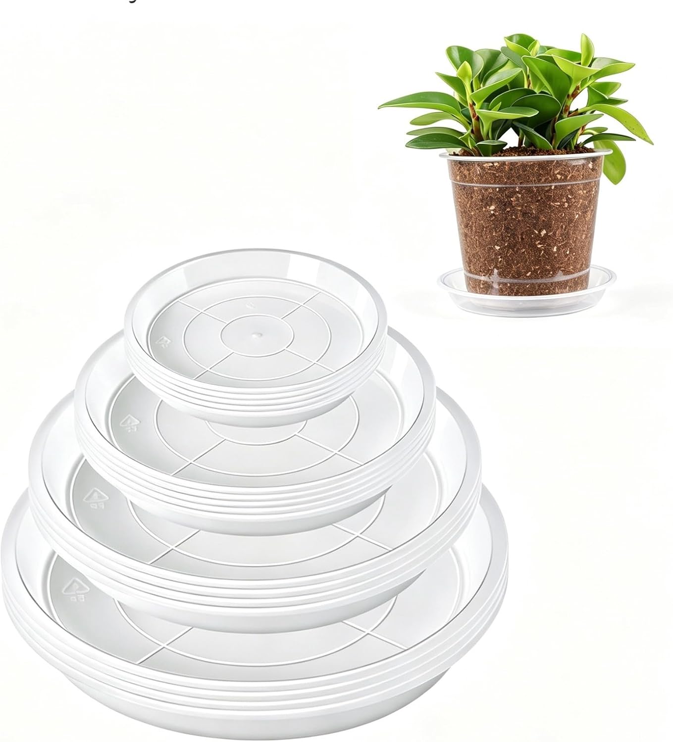 25 Clear Plastic Garden Flower Pots with Saucers for Flower Pots, 7/6/5/4/3 Inch Nursery Pots with Drainage Holes for Vegetable Propagation, Succulents, Flowers,Includes 30 Colored Plant Labels