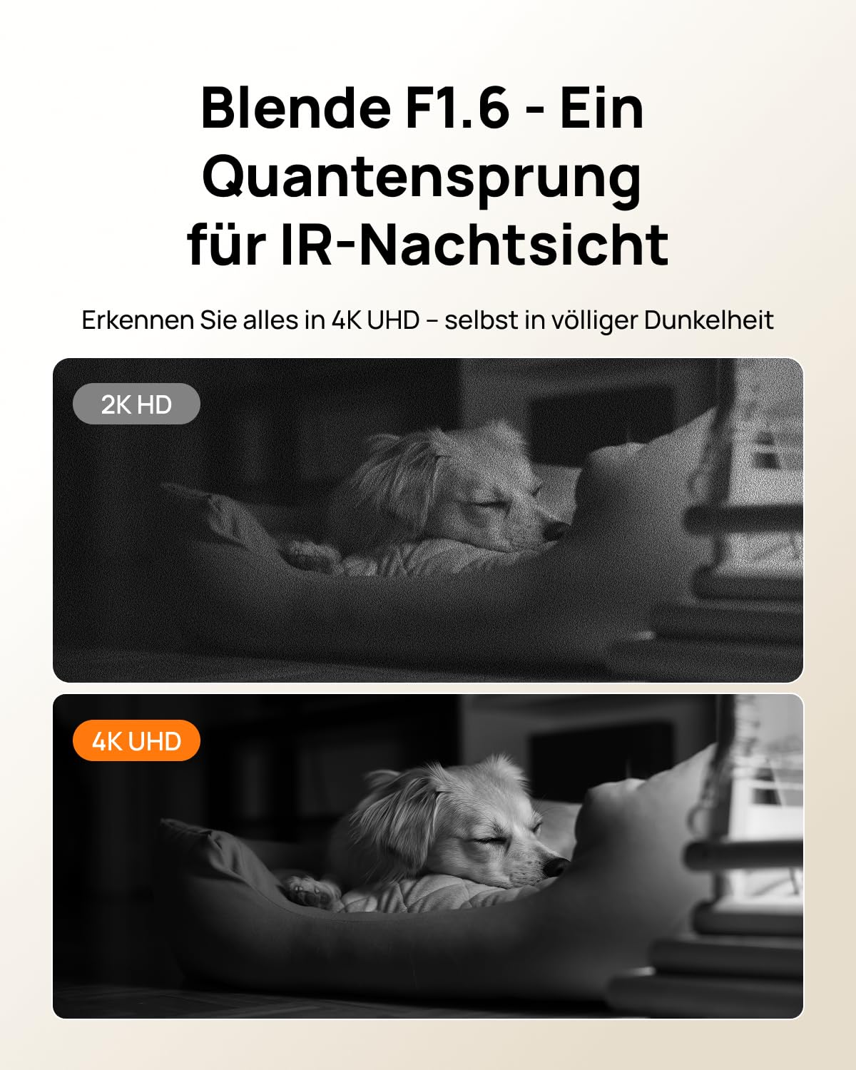 Anona Pano 4K UHD Innenüberwachungskamera, 360° Auto-Tracking, Wi-Fi 6, Personen-/Haustier-/Babyweinen-Erkennung, Zwei-Wege-Audio, Datenschutzmodus, Alexa-kompatibel, 1er-Pack