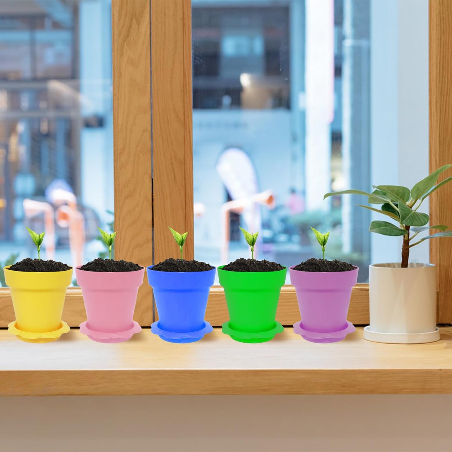 CIEOVO 50 Set Cupcake Plant Nursery Pots with Saucers, Plastic Flower Pots with Saucers Shovels Seeds Planting Containers Cups Containers for Garden Office Decor Plant Succulent Display
