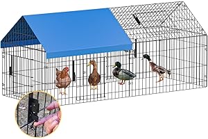 Premium Outdoor Chicken Coop for a Spacious and Secure Home for Your Flock