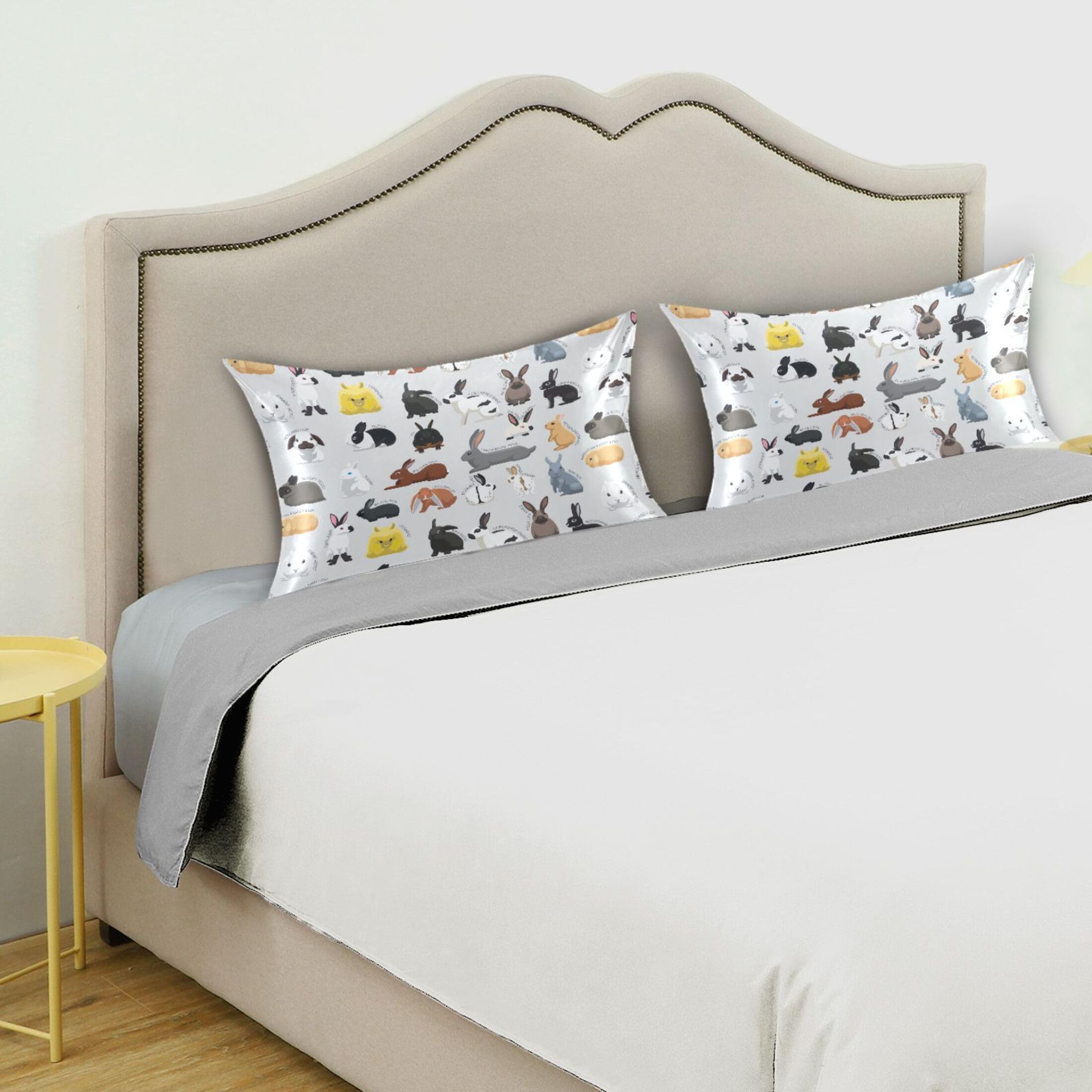 Collection de Lit et Coussin pour Animaux de Compagnie