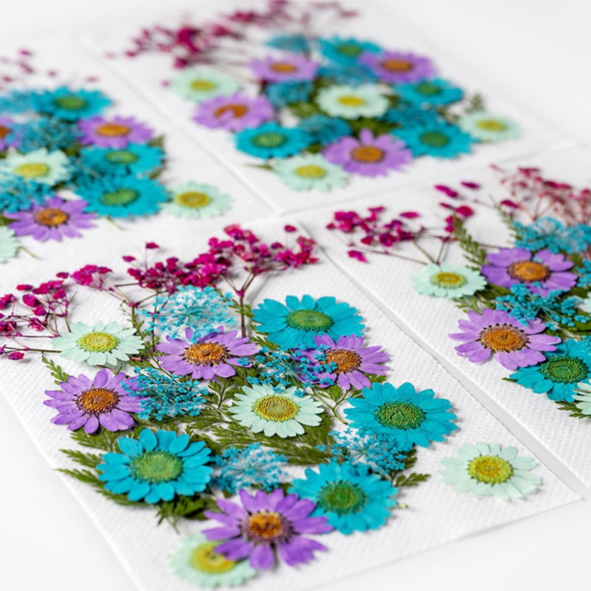 VILLCASE 200pièces Fleurs Séchées Naturelles pour Artisanat Matériaux Décoratifs pour Projets Créatifs Échantillons De Plantes Pressées Accessoires Manuels Décoration Unique Et