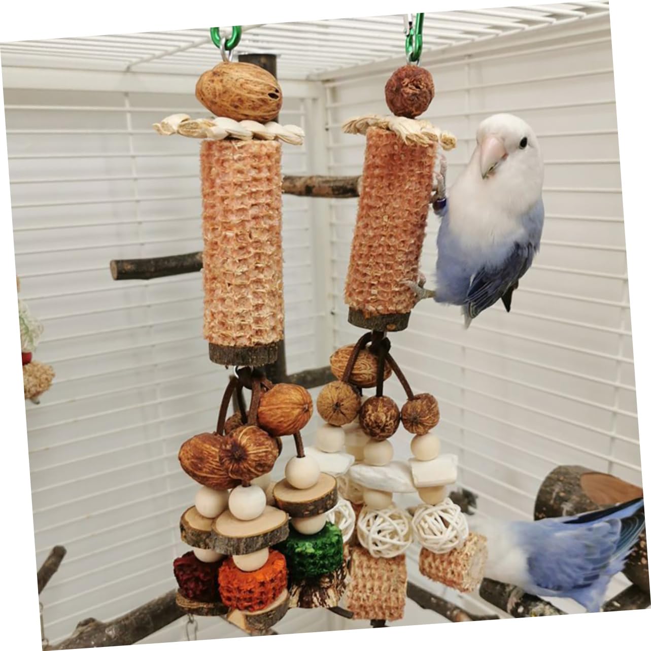 Beaupretty 3pièces Jouet Suspendu pour Perroquet Accessoire Intéressant pour Perruche Et Cockatiel Jouet à Mâcher Naturel pour Oiseaux Stimule Amusement Et Diminue Ennui