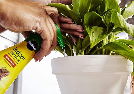 Miracle-Gro Alimento para Plantas de Interior, 8 Onzas (2 Paquetes) miniatura 4