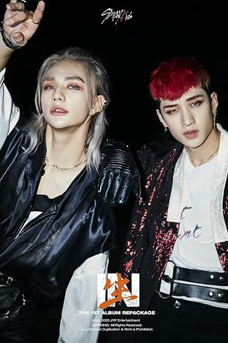 Miniatura 3 de Stray Kids En la vida 1er álbum reempaquetado normal ver cubierta aleatoria 72p fotolibro+2p PhotoCard+1p Postcard+seguimiento sellado